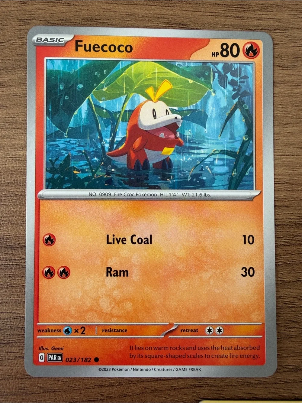 🔥💧 Starter Pokémon Card Lot | Scorbunny Fuecoco Sobble Piplup ✨5/$25✨